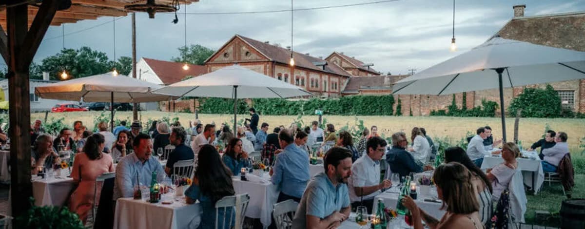 PopUp Dining event in a garden setting